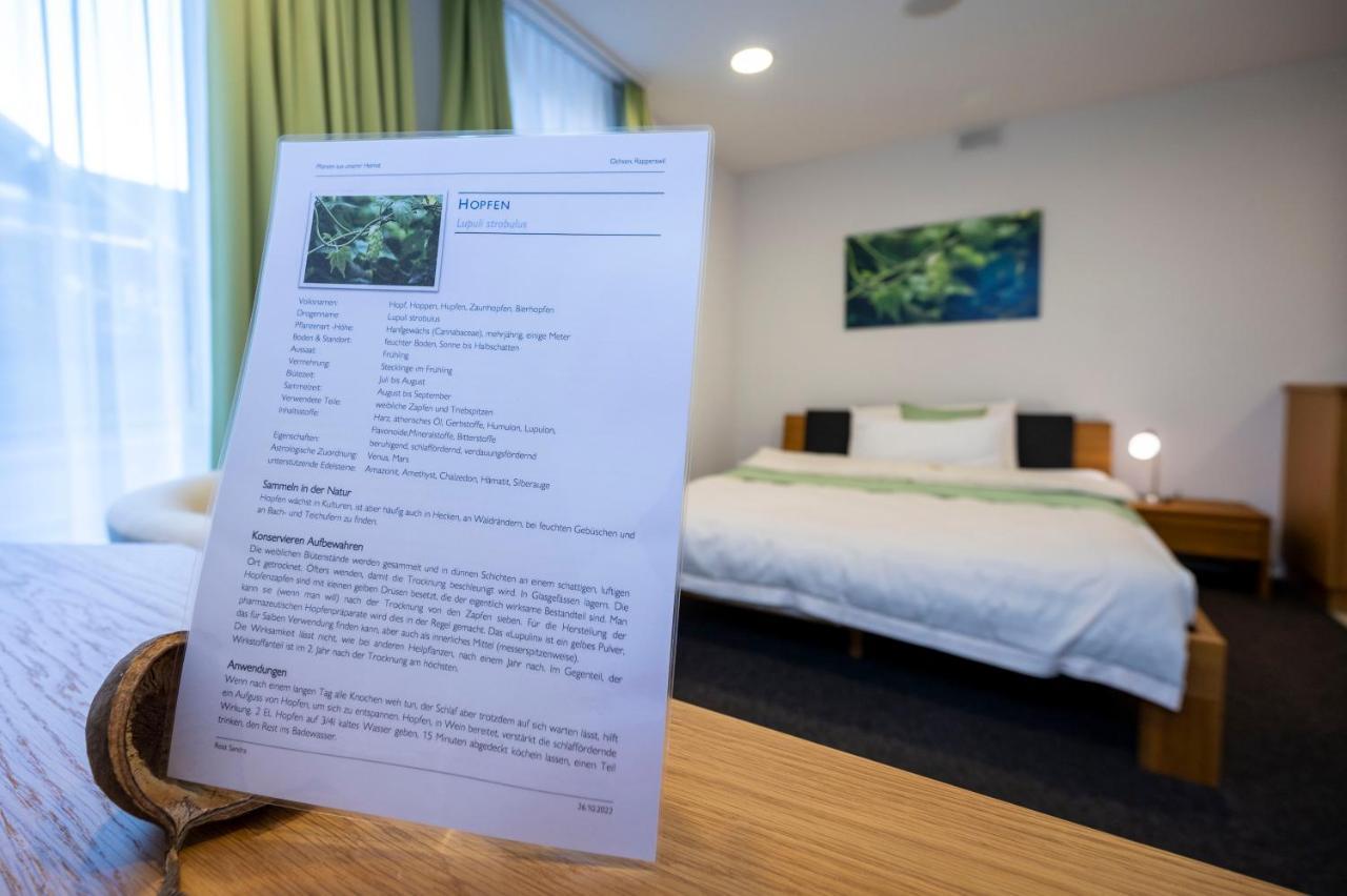 Hotel Ochsen Rapperswil/Be Rapperswil  Extérieur photo